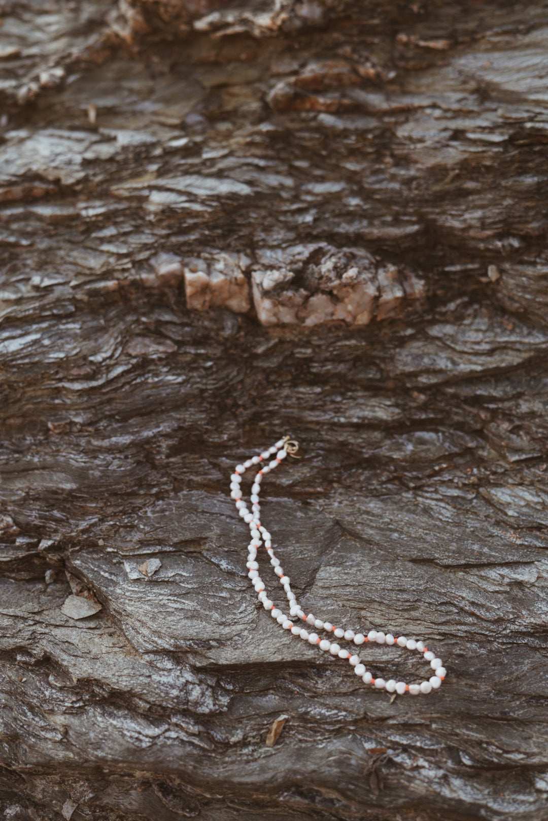 alba necklace on rock closeup 